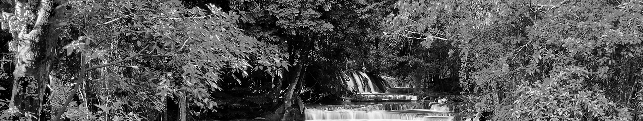 Black and white babbling brook photo